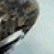 Preview of cross stitch pattern: #907421