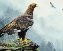 Cross stitch pattern: #907421