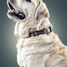 Cross stitch pattern: #908232