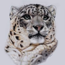 Cross stitch pattern: #908242