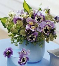 Cross stitch pattern: #908846