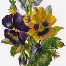 Cross stitch pattern: #909176