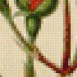 Preview of cross stitch pattern: #909183