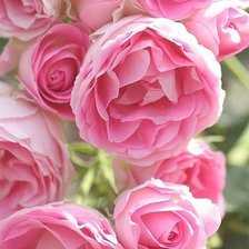 Cross stitch pattern: #909191