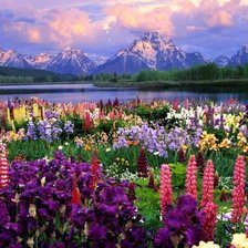 Cross stitch pattern: #909285