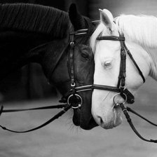 Cross stitch pattern: #909774