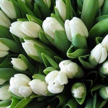 Cross stitch pattern: #909984