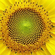 Cross stitch pattern: #910149