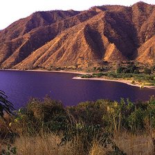 Cross stitch pattern: #911121