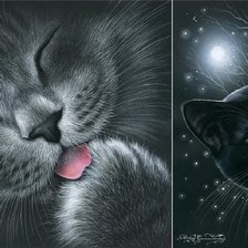 Cross stitch pattern: #911897