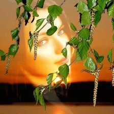 Cross stitch pattern: #912602