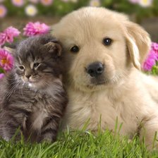 Cross stitch pattern: #912637