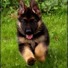 Cross stitch pattern: #912638