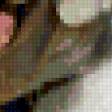 Preview of cross stitch pattern: #912848