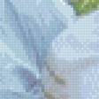 Preview of cross stitch pattern: #913137