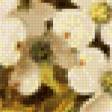 Preview of cross stitch pattern: #913205
