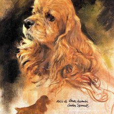 Cross stitch pattern: #913599