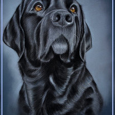 Cross stitch pattern: #913603