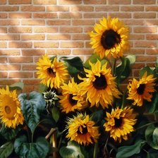 Cross stitch pattern: #913763