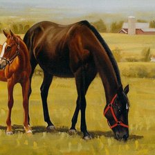 Cross stitch pattern: #914463