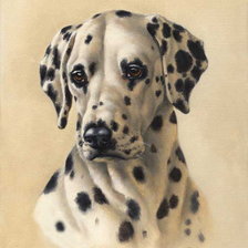Cross stitch pattern: #914505
