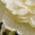 Preview of cross stitch pattern: #914638