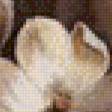 Preview of cross stitch pattern: #914639