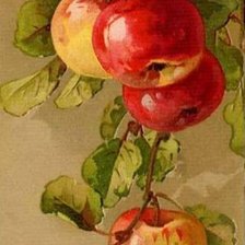 Cross stitch pattern: #914642