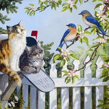 Cross stitch pattern: #915012
