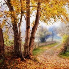Cross stitch pattern: #915020