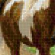 Preview of cross stitch pattern: #915031