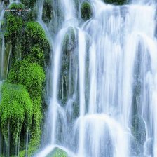 Cross stitch pattern: #915701