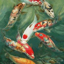 Cross stitch pattern: #916594