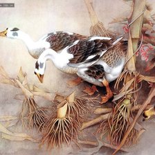 Cross stitch pattern: #916697