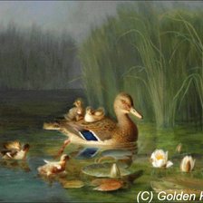 Cross stitch pattern: #916814