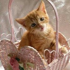 Cross stitch pattern: #917857