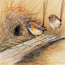 Cross stitch pattern: #918013
