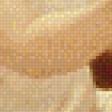 Preview of cross stitch pattern: #918303