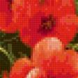 Preview of cross stitch pattern: #918606