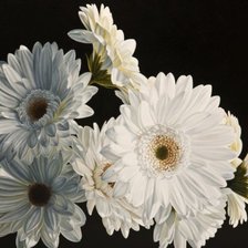 Cross stitch pattern: #918684