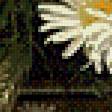 Preview of cross stitch pattern: #918857