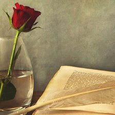 Cross stitch pattern: #918995