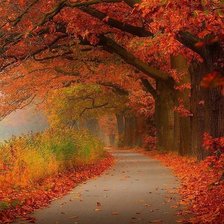 Cross stitch pattern: #919060