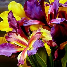 Cross stitch pattern: #919322