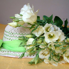 Cross stitch pattern: #919611