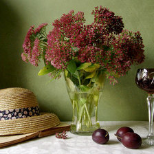 Cross stitch pattern: #919626