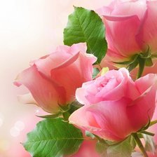 Cross stitch pattern: #919650