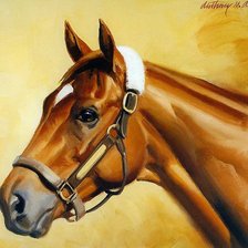 Cross stitch pattern: #920037