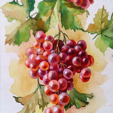 Cross stitch pattern: #920042