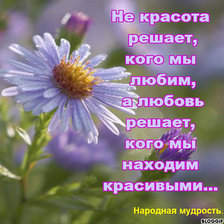 Cross stitch pattern: #920246